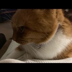 Meet your Posher, Mary